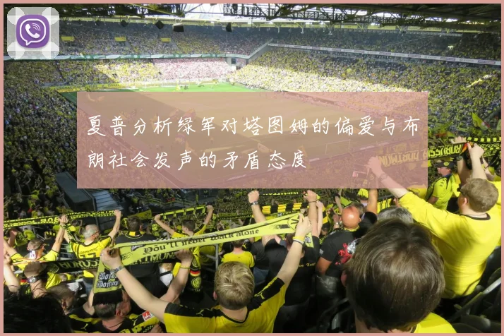 夏普分析绿军对塔图姆的偏爱与布朗社会发声的矛盾态度
