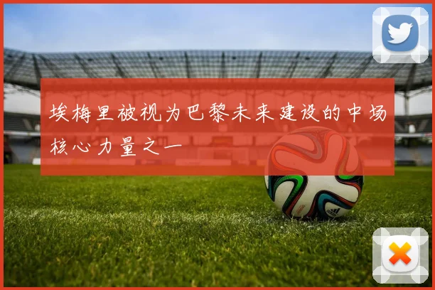 埃梅里被视为巴黎未来建设的中场核心力量之一